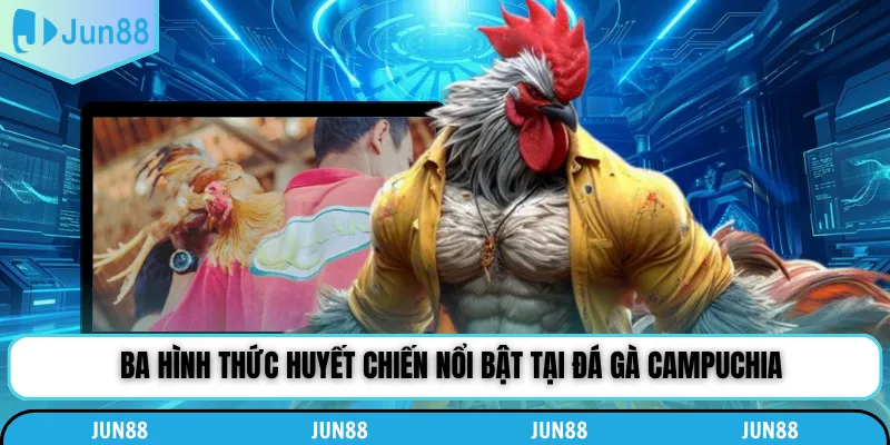 Ba hình thức huyết chiến nổi bật tại đá gà Campuchia