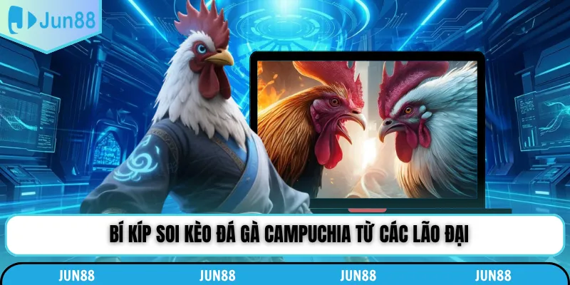Bí kíp soi kèo đá gà Campuchia từ các lão đại