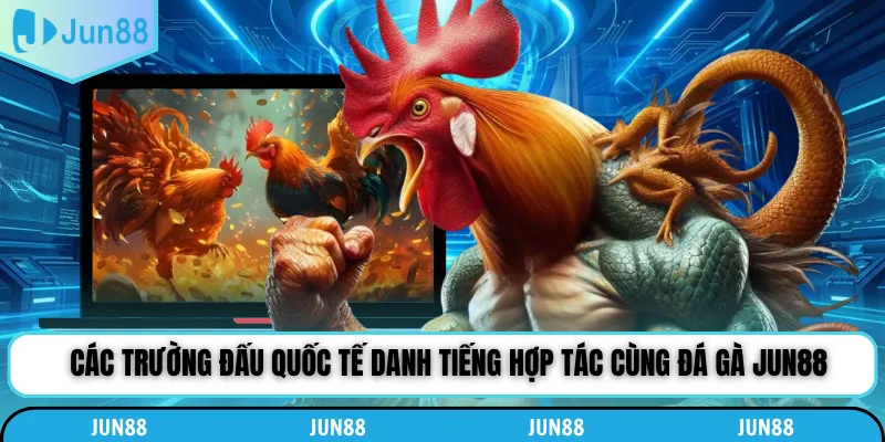 Các trường đấu quốc tế danh tiếng hợp tác cùng đá gà Jun88