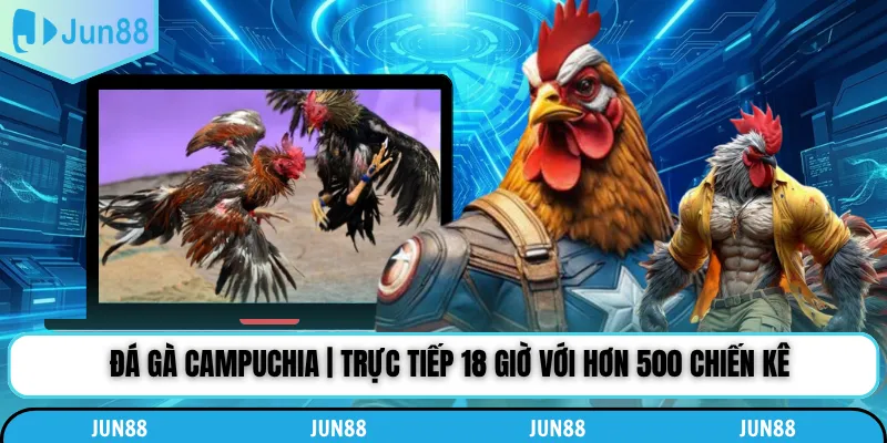 Đá Gà Campuchia | Trực Tiếp 18 Giờ Với Hơn 500 Chiến Kê