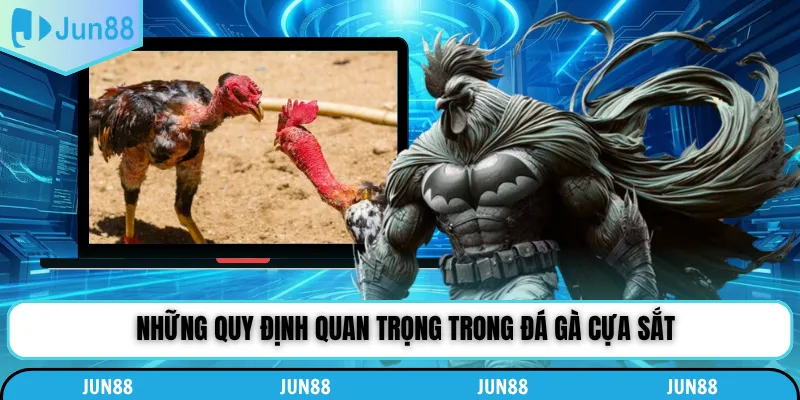Những quy định quan trọng trong đá gà cựa sắt